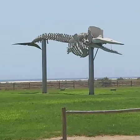 דירה 3br - 5 Min Walk To Jandia Beach *