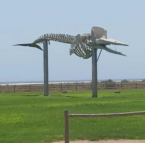 Lejlighed 3br - 5 Min Walk To Jandia Beach *